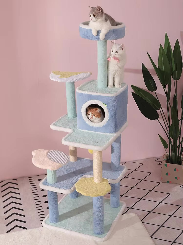 Arbre à chat bleu - Chat-astrophique, élégance féline
