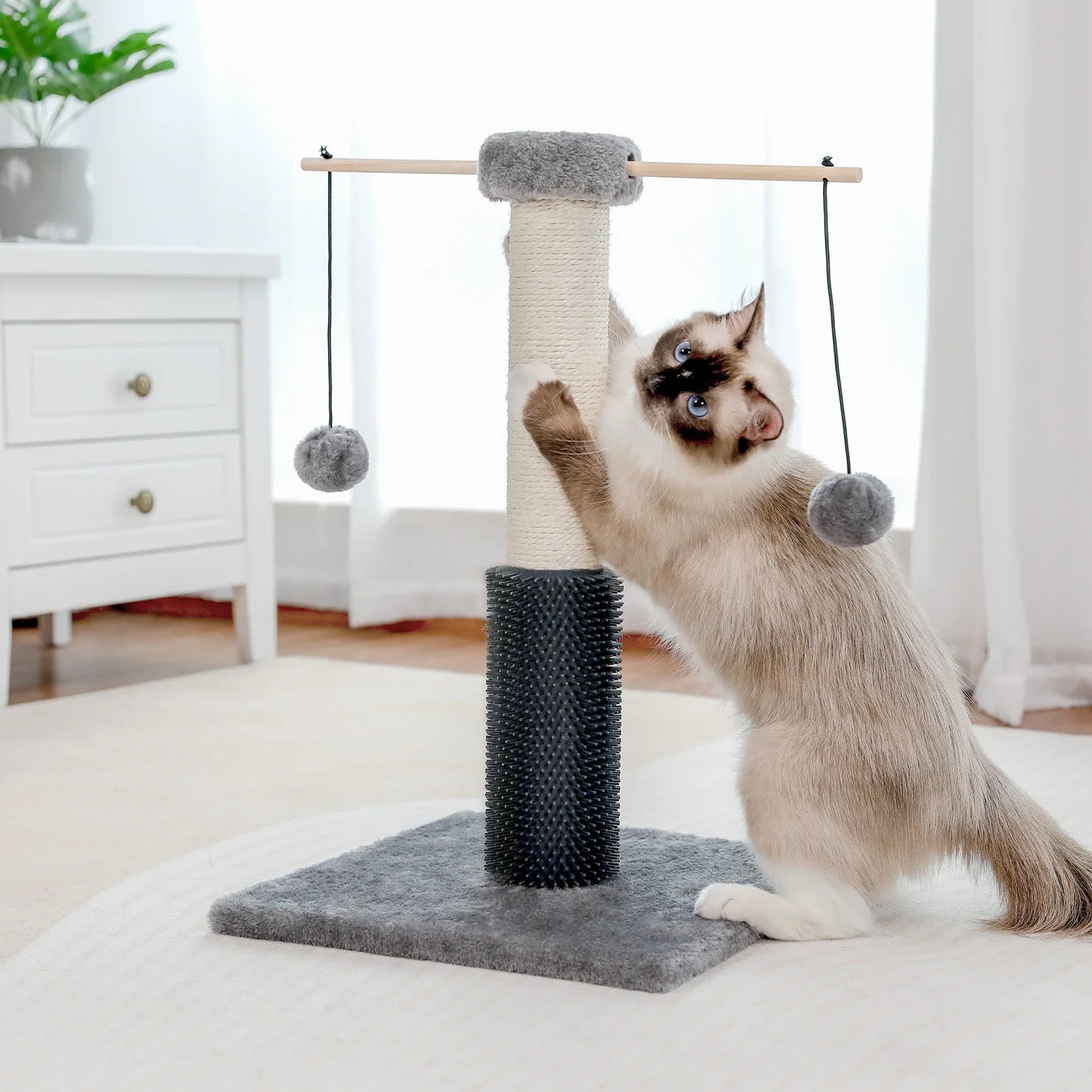 PawsPlay Arbre à Chat Compact - Boules en Peluche & Griffoir