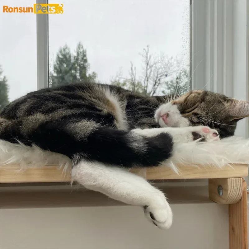 Plateforme fenêtre pour chat en bois - WoodNova