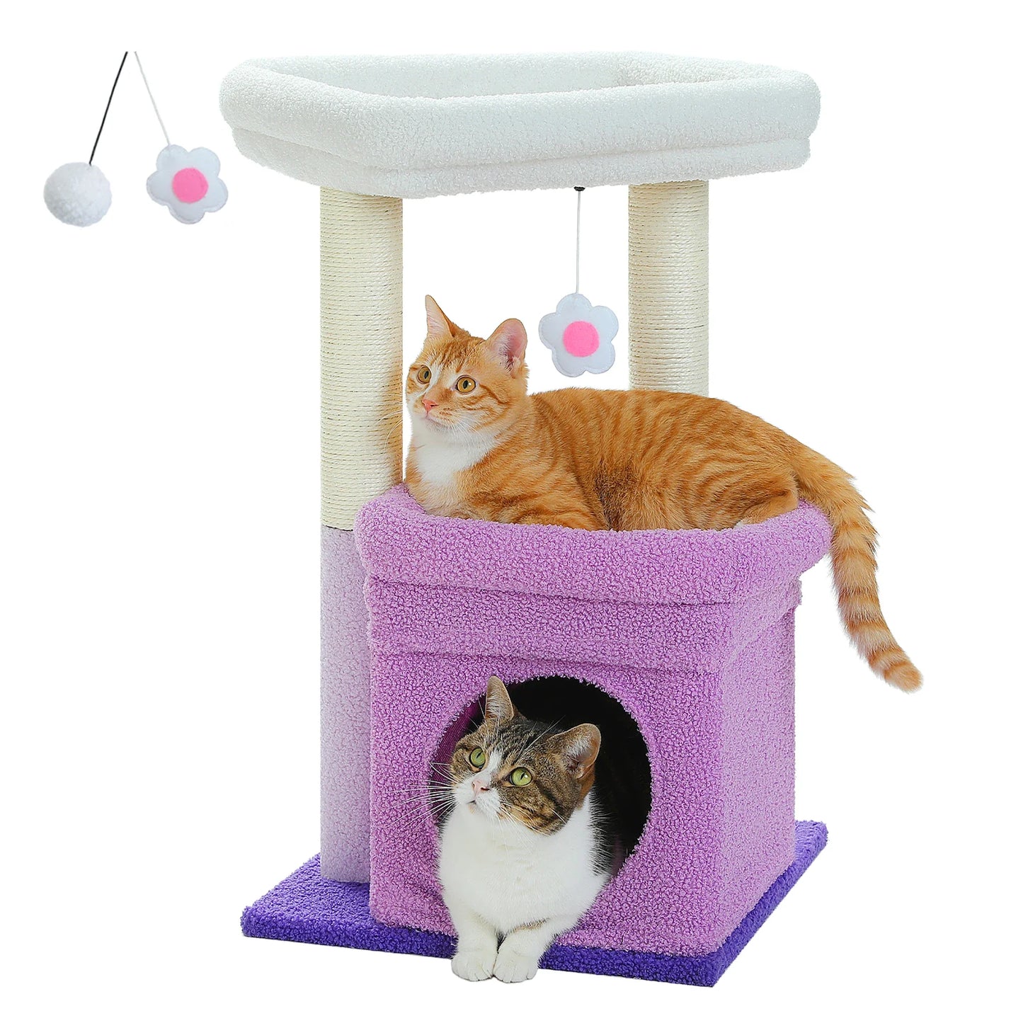 CosyNiche Arbre à chat compact avec condo et perchoir