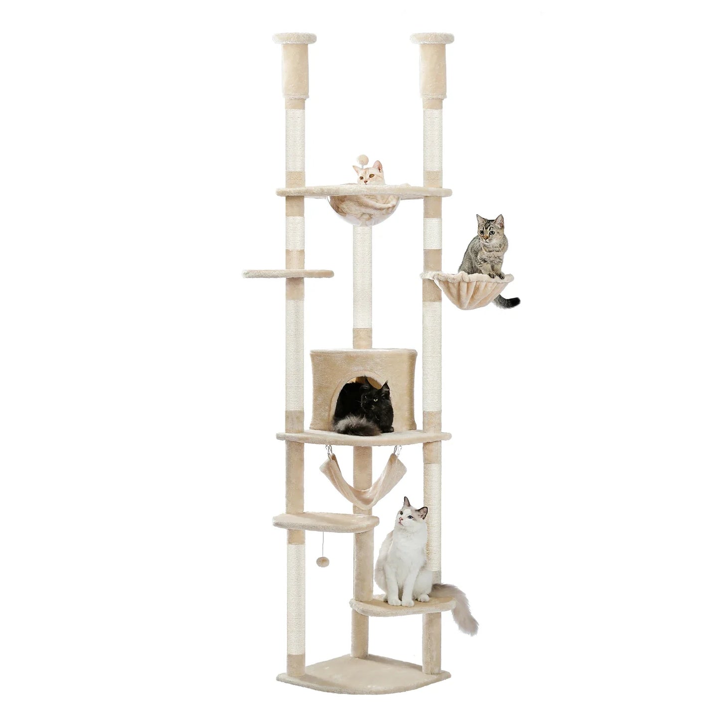 PawBrand Arbre à chat Maine Coon XXL Ajustable 236-258cm