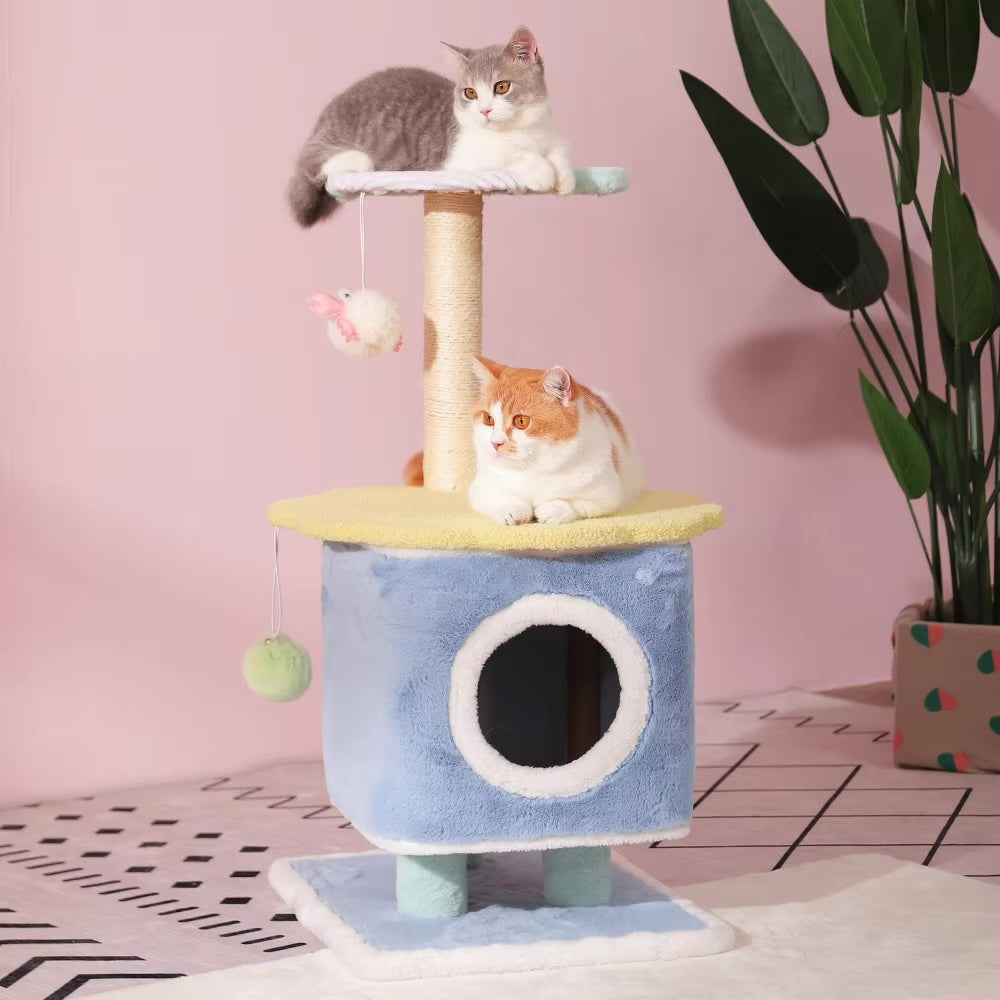 Arbre à chat bleu - Chat-astrophique, élégance féline