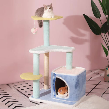 Arbre à chat bleu - Chat-astrophique, élégance féline