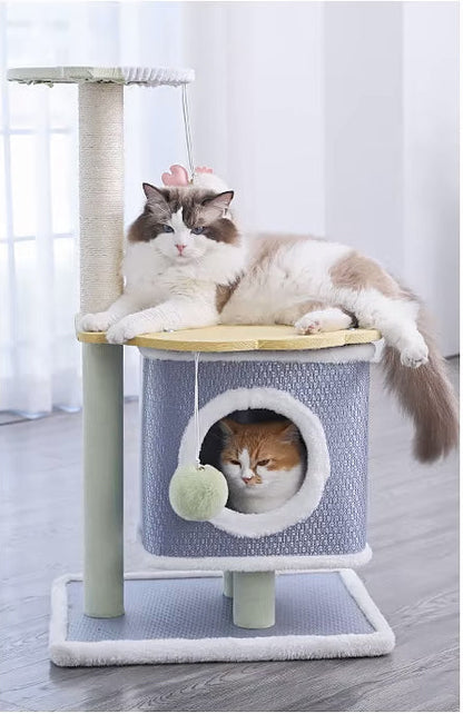 Arbre à chat bleu - Chat-astrophique, élégance féline