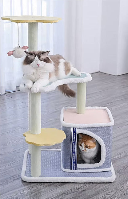 Arbre à chat bleu - Chat-astrophique, élégance féline