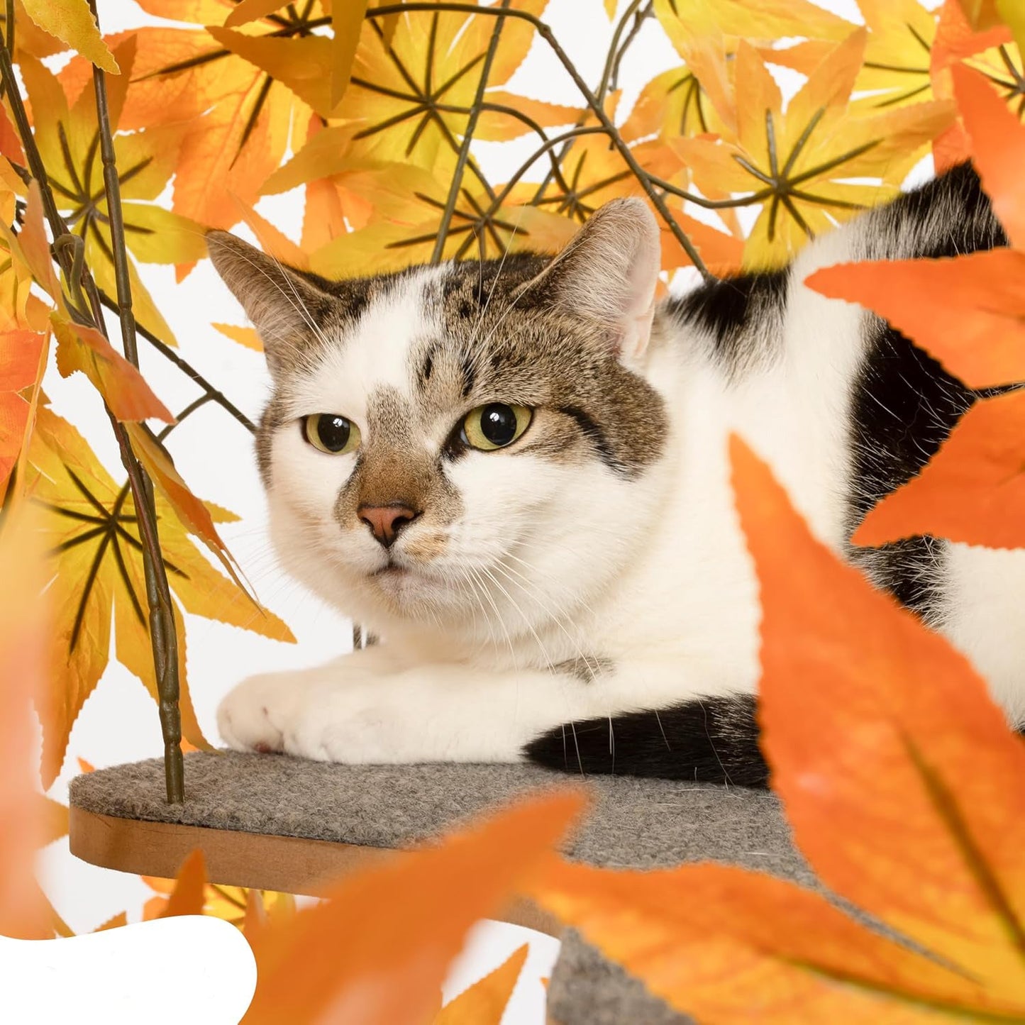 Arbre à Chat - Chat'Canopée Design Naturel Feuilles
