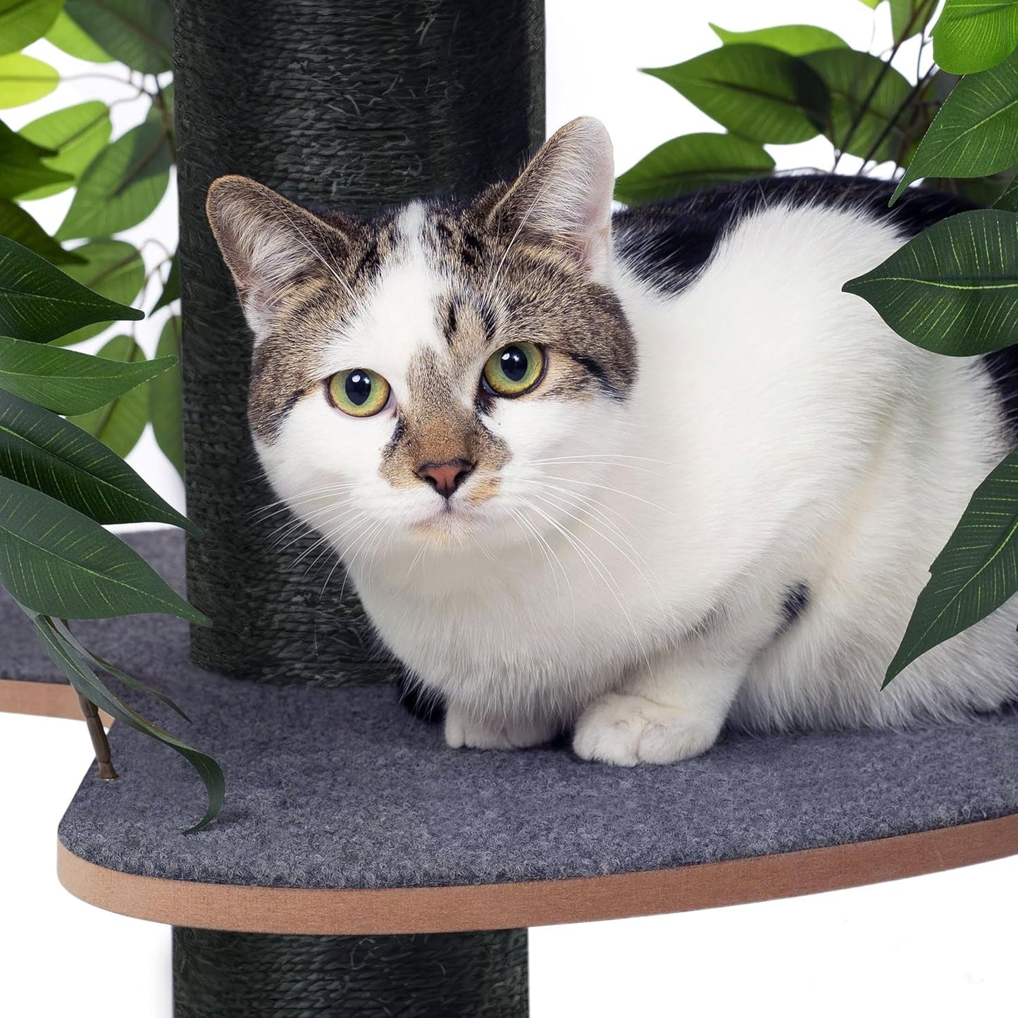 Arbre à Chat - Chat'Canopée Design Naturel Feuilles