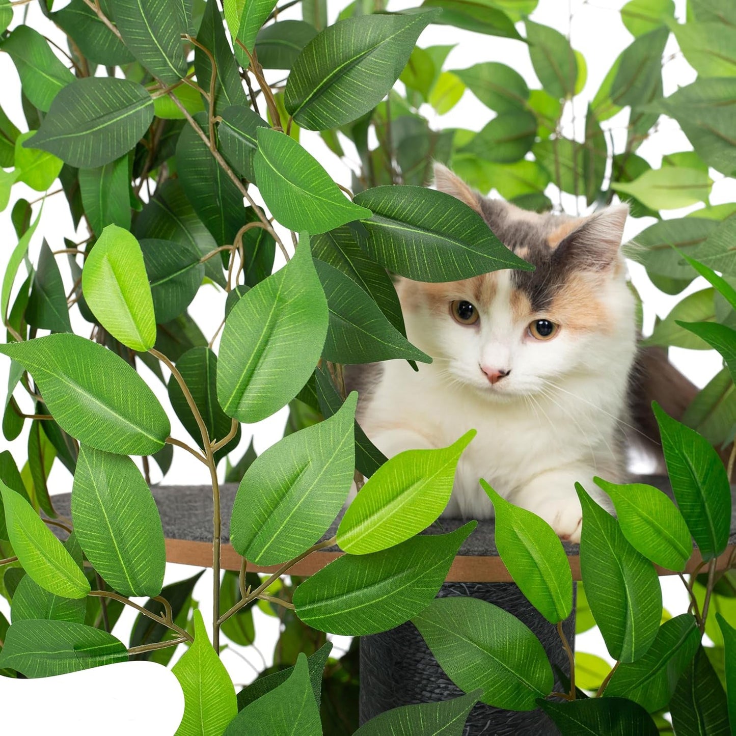 Arbre à Chat - Chat'Canopée Design Naturel Feuilles