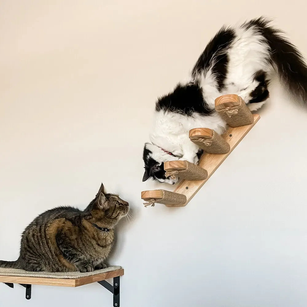 Arbre a chat mural - tube transparent - MerveillesMurales