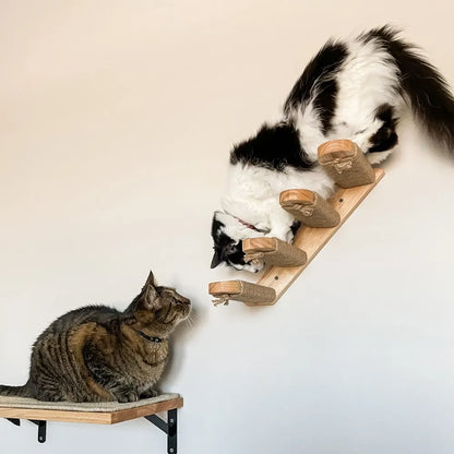 Arbre a chat mural - tube transparent - MerveillesMurales