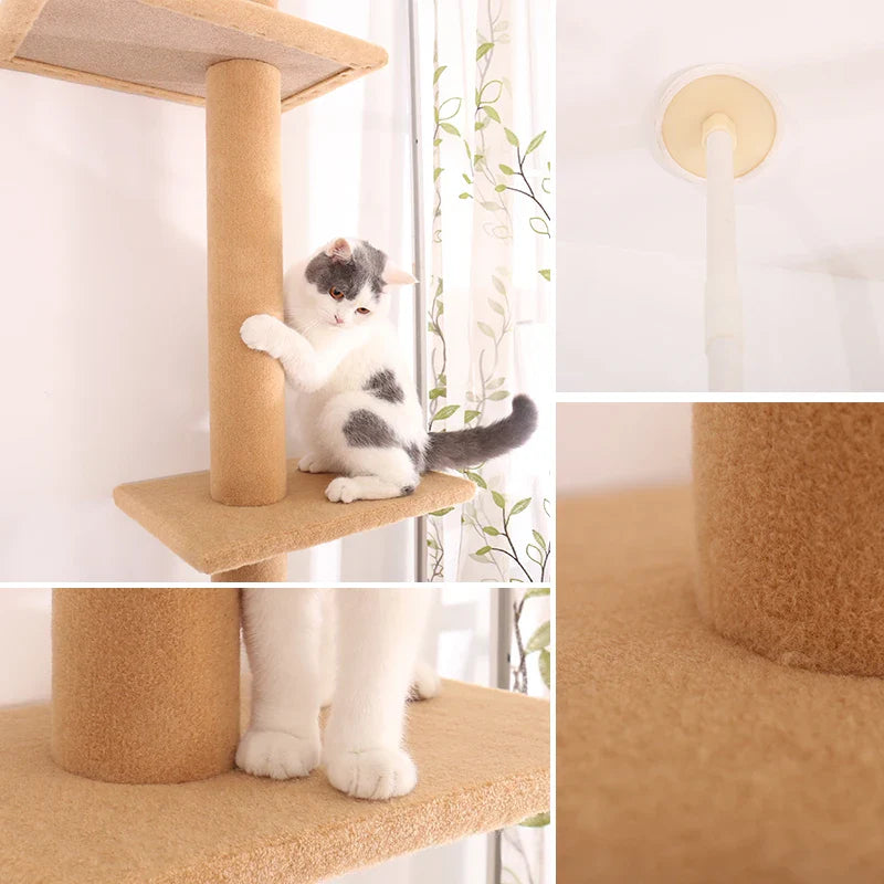 Arbre à chat Maine Coon SkyTower - ajustable sol-plafond