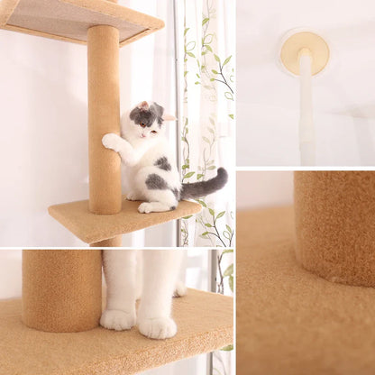 Arbre à chat Maine Coon SkyTower - ajustable sol-plafond