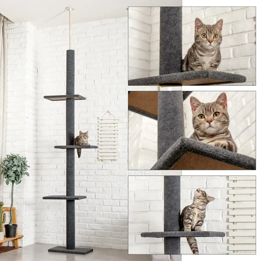 Arbre à chat Maine Coon SkyTower - ajustable sol-plafond