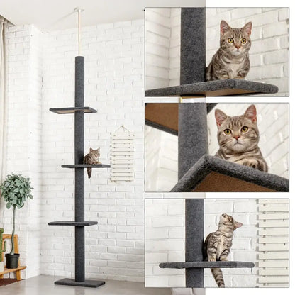 Arbre à chat Maine Coon SkyTower - ajustable sol-plafond