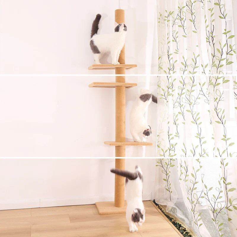 Arbre à chat Maine Coon SkyTower - ajustable sol-plafond