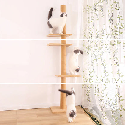 Arbre à chat Maine Coon SkyTower - ajustable sol-plafond