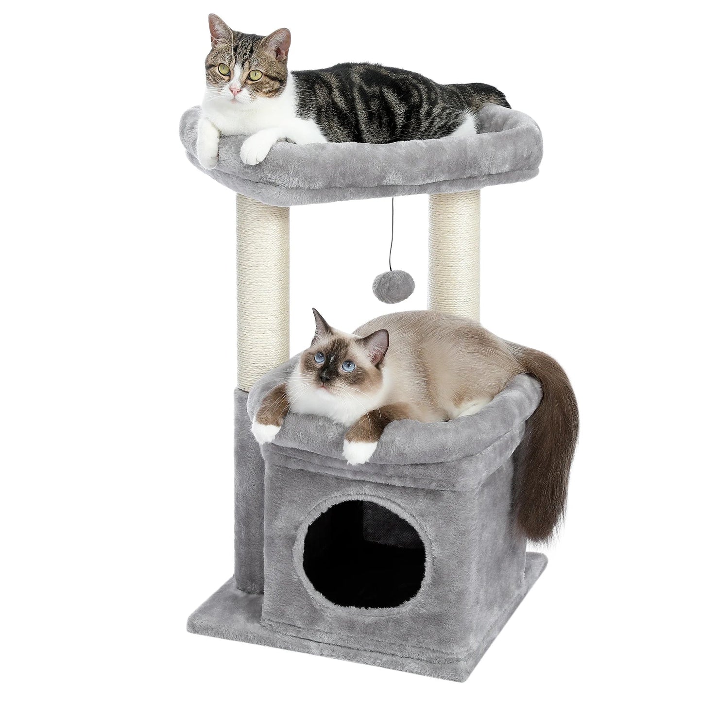 CosyNiche Arbre à chat compact avec condo et perchoir