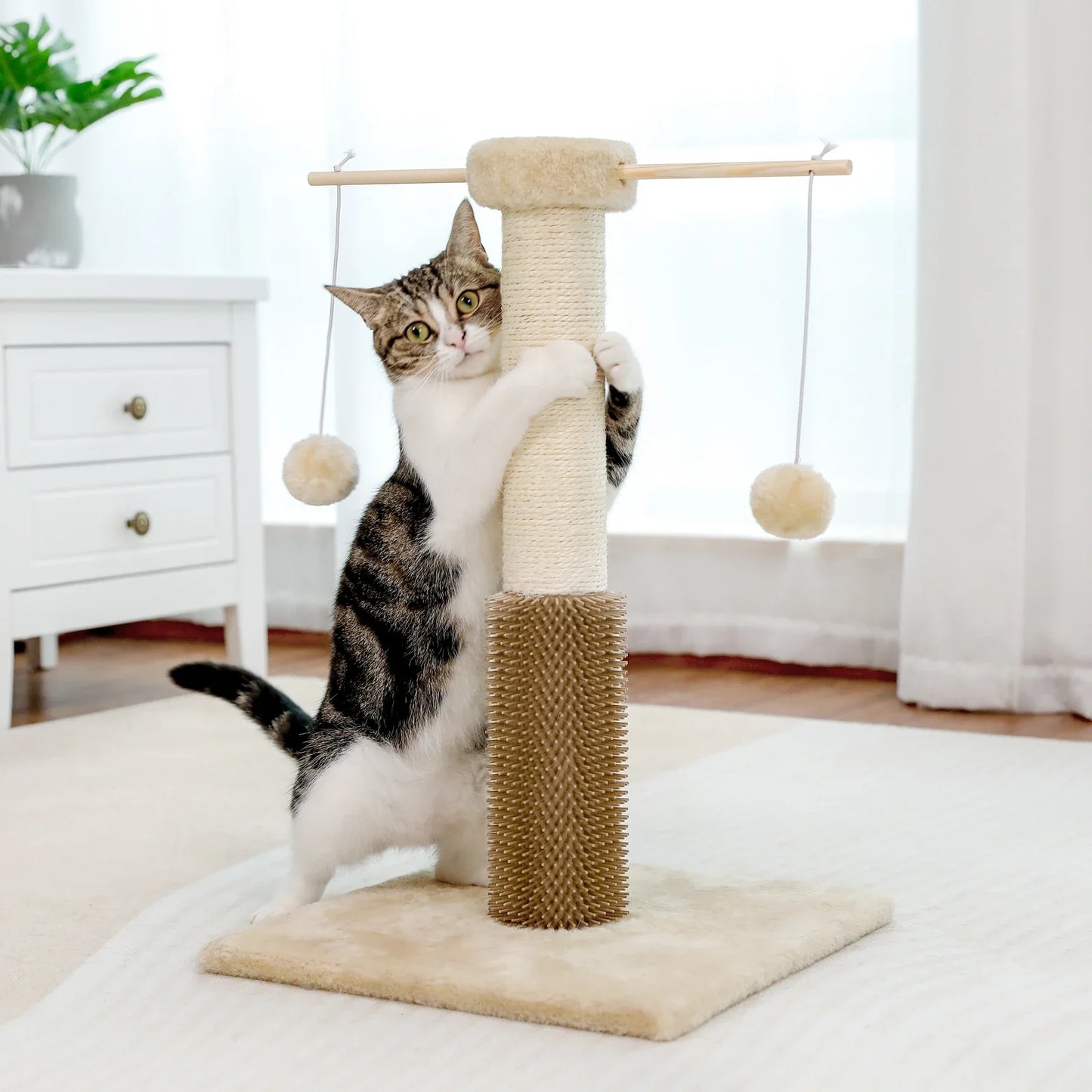PawsPlay Arbre à Chat Compact - Boules en Peluche & Griffoir