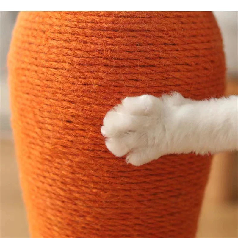Carotte Arbre à chat - CarrotCat