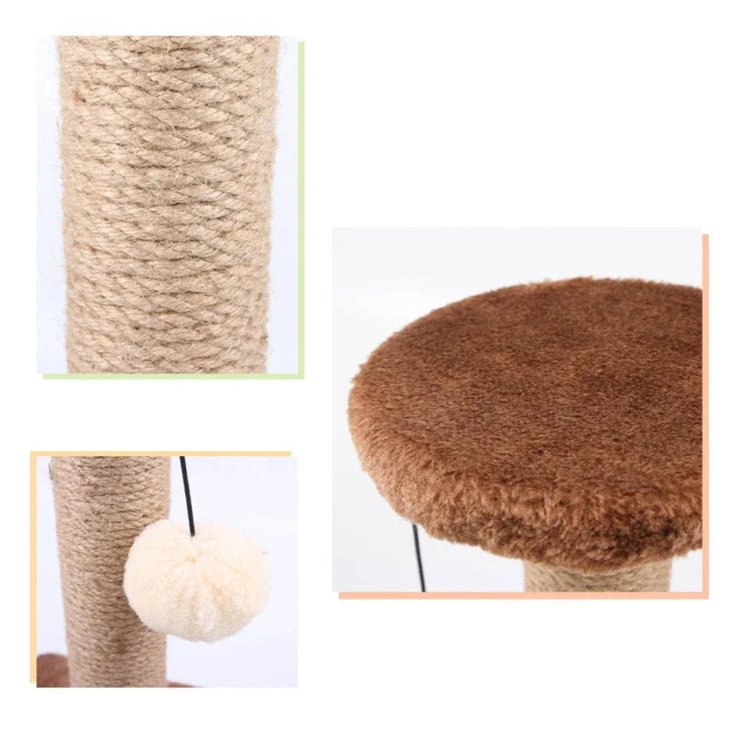 Arbre à chat - Jouet et griffes Purr