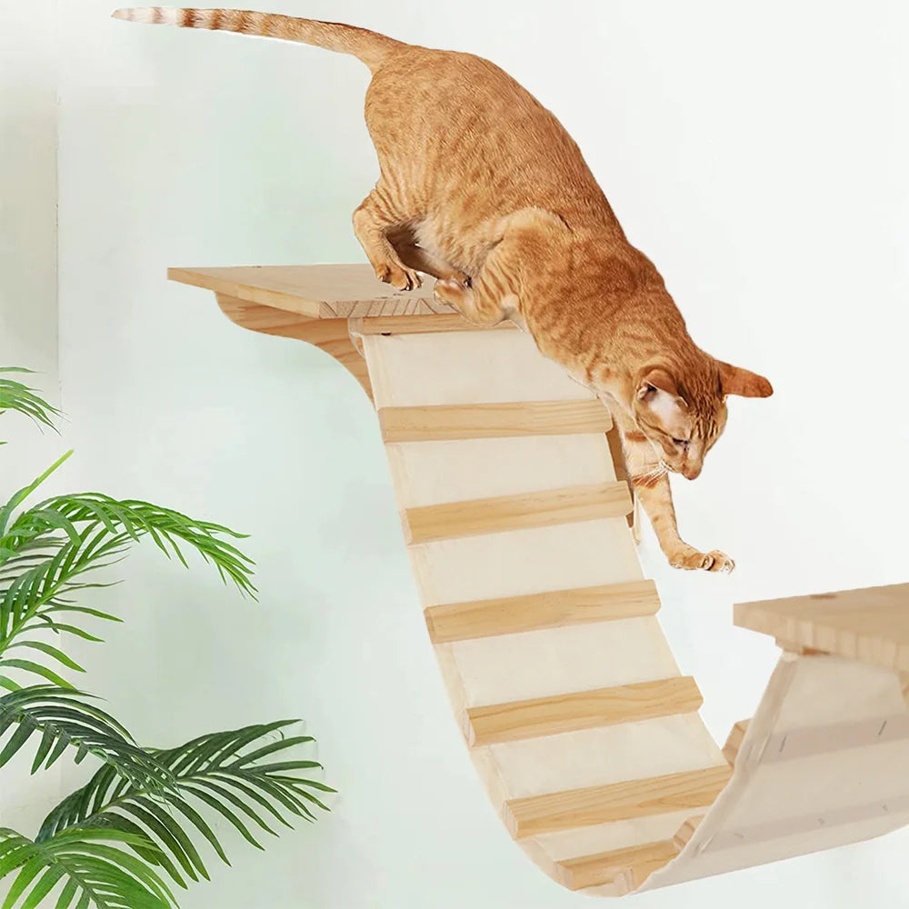 Arbre a chat mural - tube transparent - MerveillesMurales