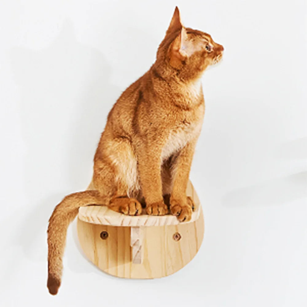 Arbre à chat hamac lune en bois - Nest