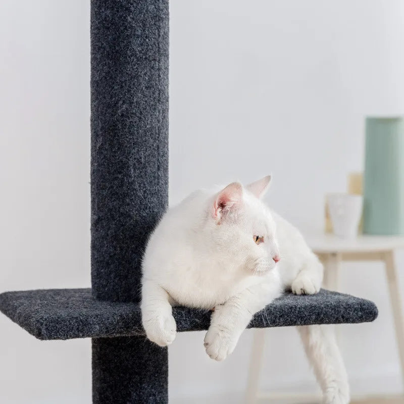 Arbre à chat Maine Coon SkyTower - ajustable sol-plafond