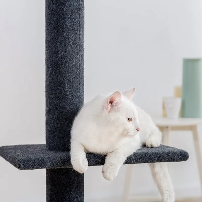 Arbre à chat Maine Coon SkyTower - ajustable sol-plafond