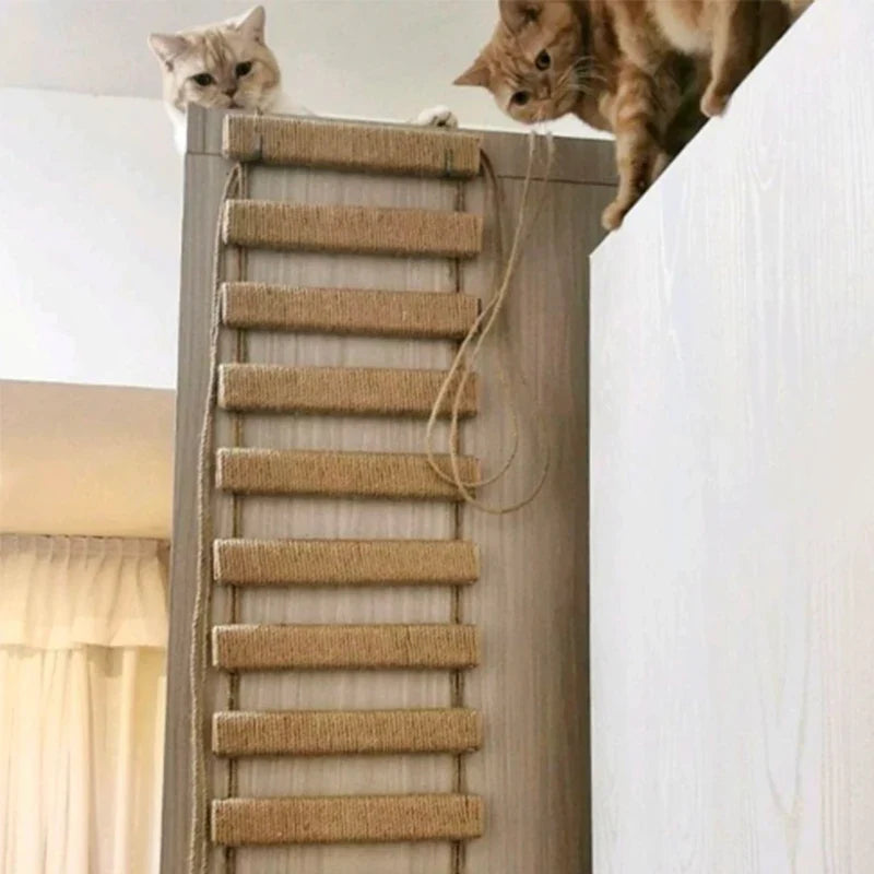 Pont Suspendu pour Chats – CatAventure DIY