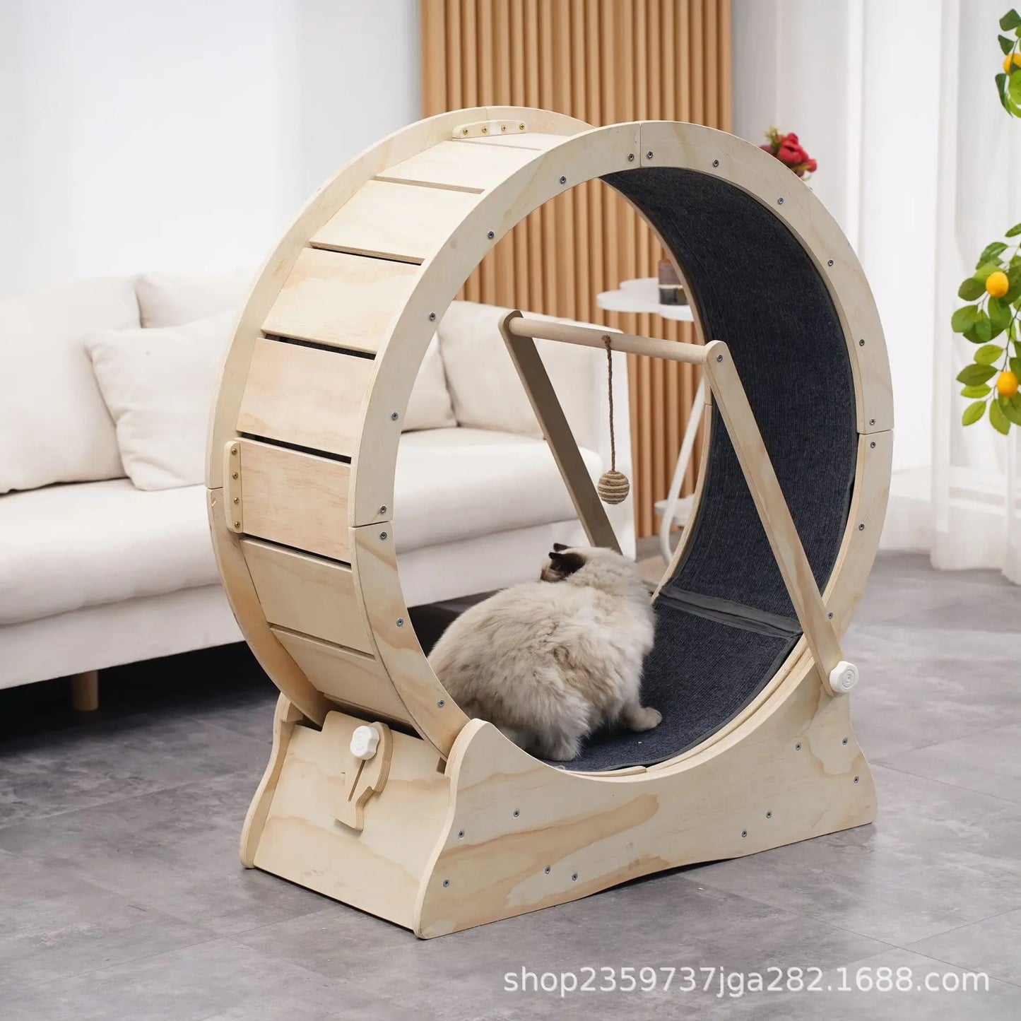 Arbre à chat - Roue pour chat | ChatMster