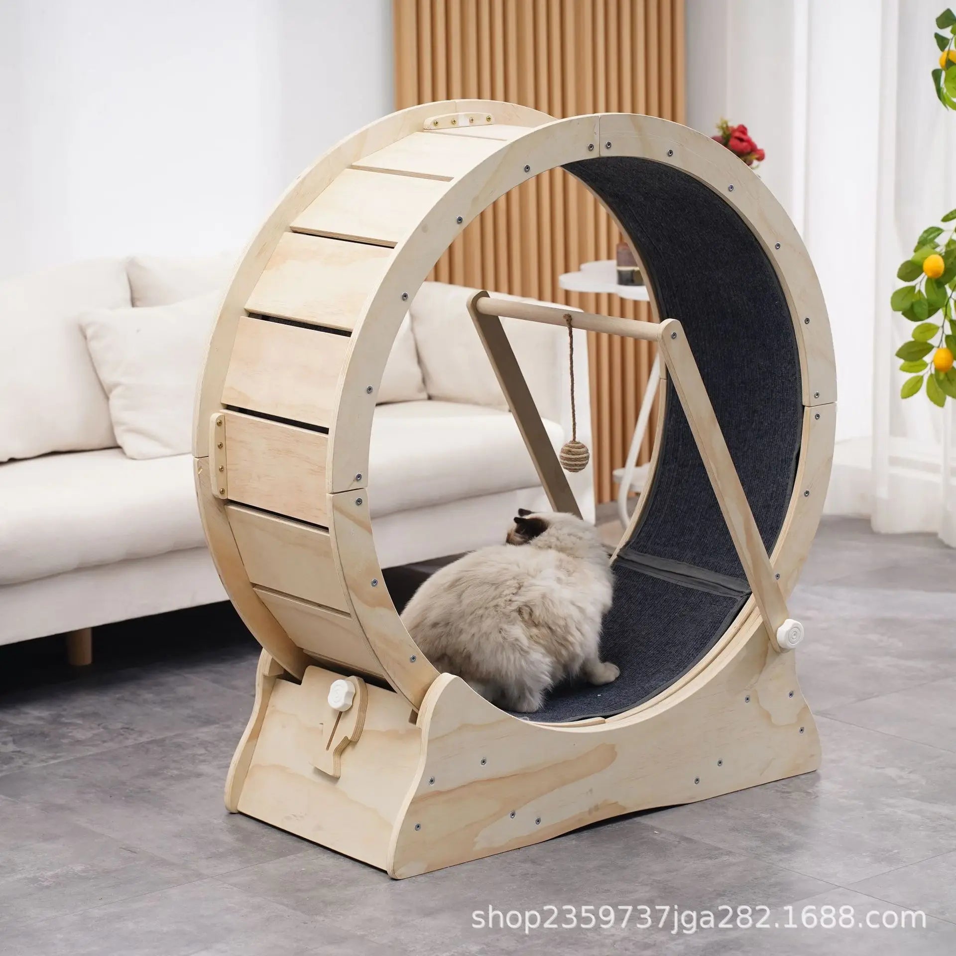 Arbre à chat - Roue pour chat | ChatMster