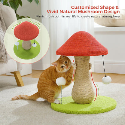 Arbre à chat pas cher - Champignon Pro