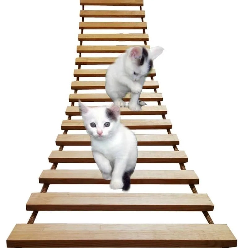 Pont Suspendu pour Chats – CatAventure DIY