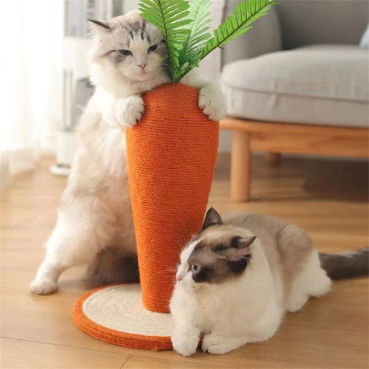 Carotte Arbre à chat - CarrotCat