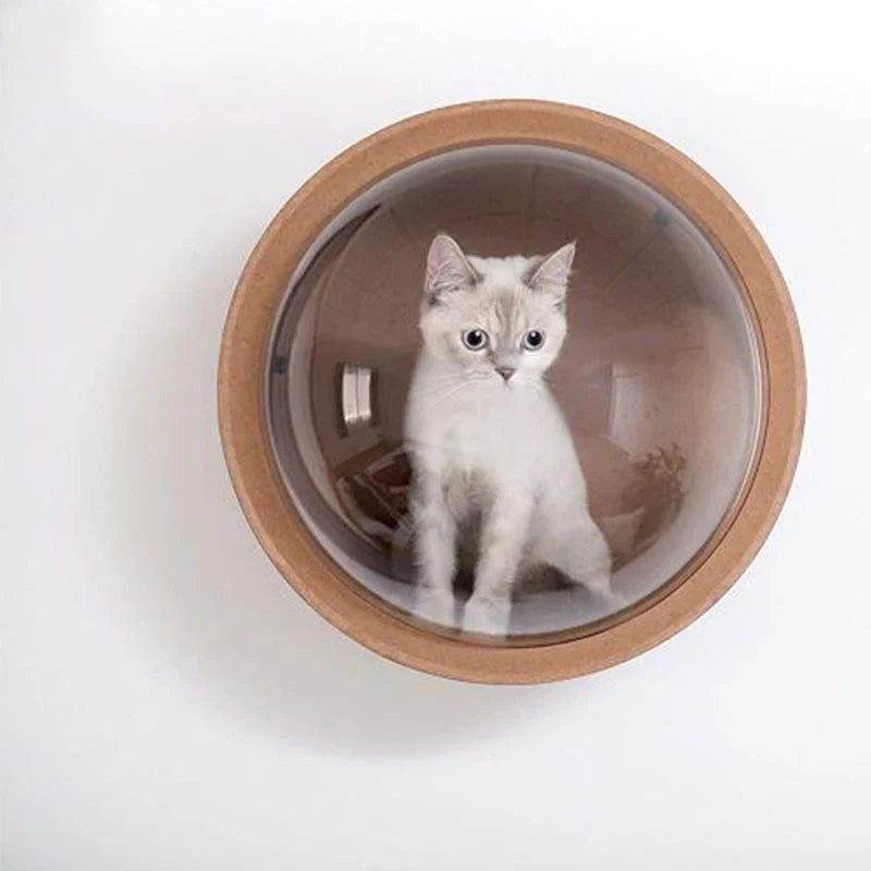 Arbre à chat Capsule spatiale Pro avec dôme d'observation