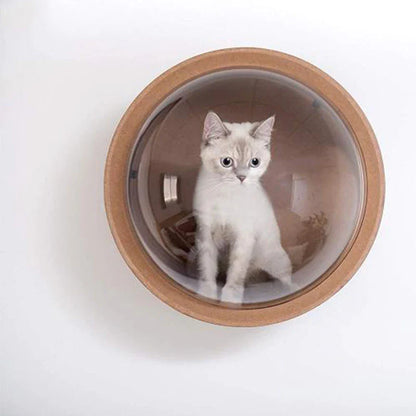 Arbre à chat Capsule spatiale Pro avec dôme d'observation