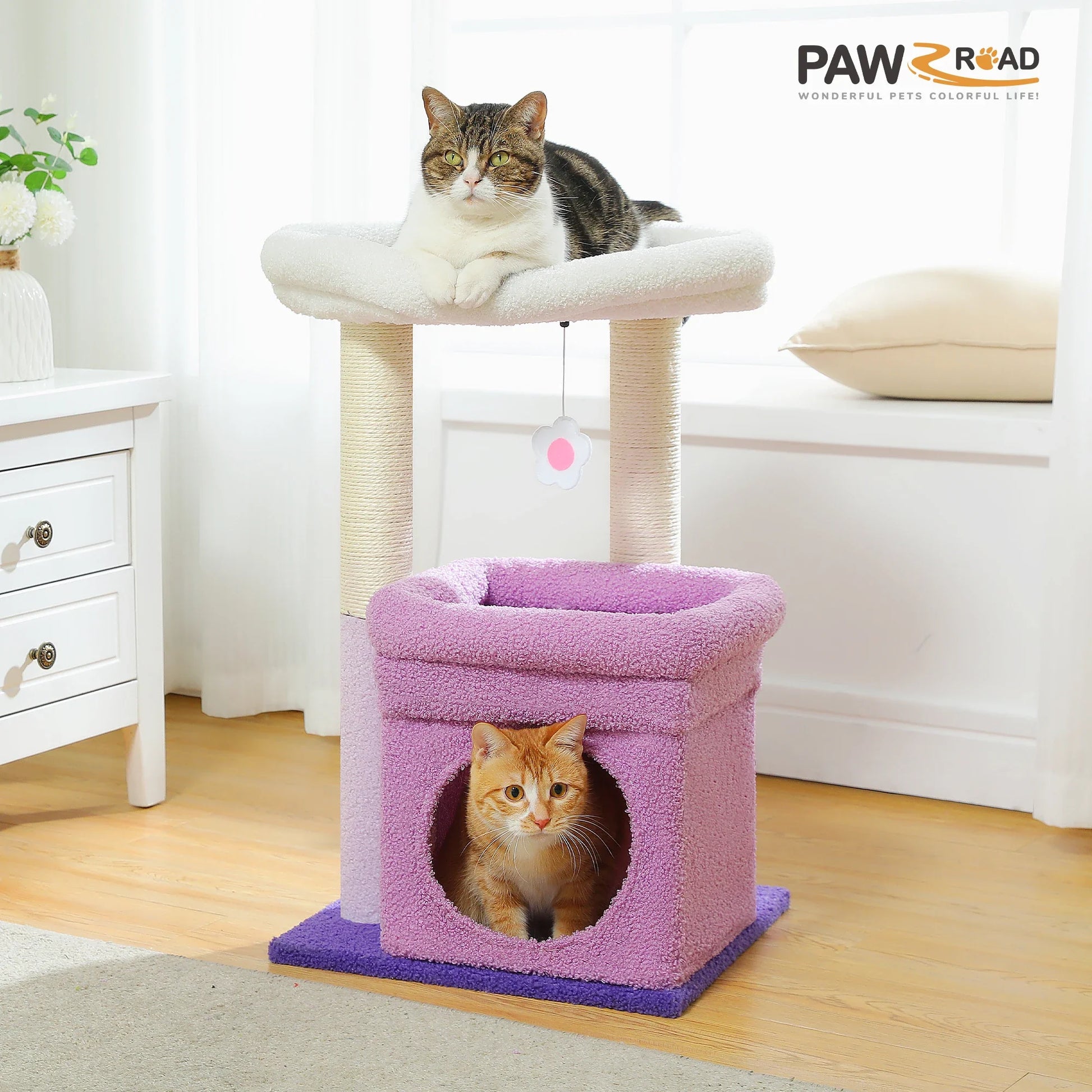 CosyNiche Arbre à chat compact avec condo et perchoir