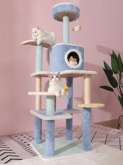 Arbre à chat bleu - Chat-astrophique, élégance féline