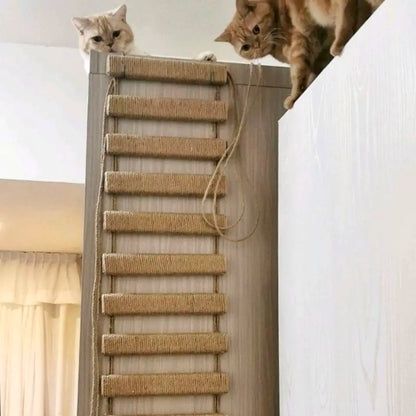 Pont Suspendu / Echelle pour Chats aventuriers - Acrobatix