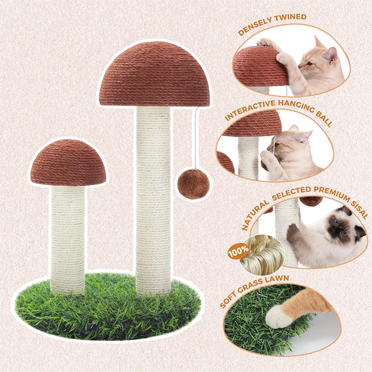 Arbre à chat pas cher - Champignon Pro