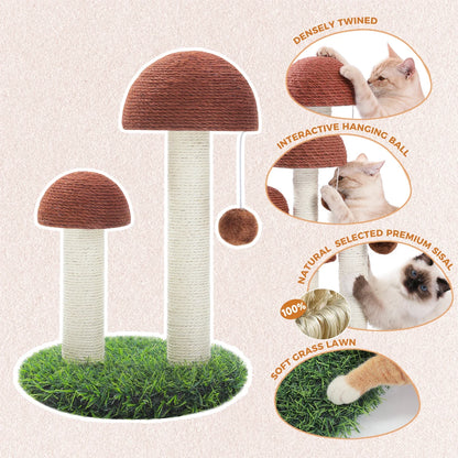 Arbre à chat pas cher - Champignon Pro