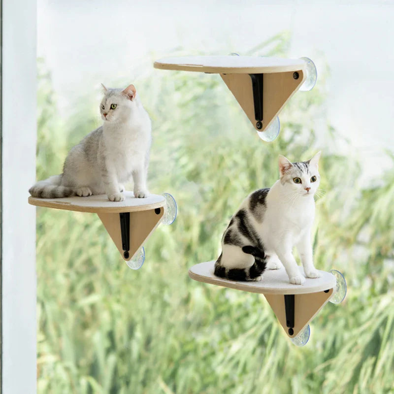 Plateforme fenêtre pour chat - Ventouse & Périscope Pro