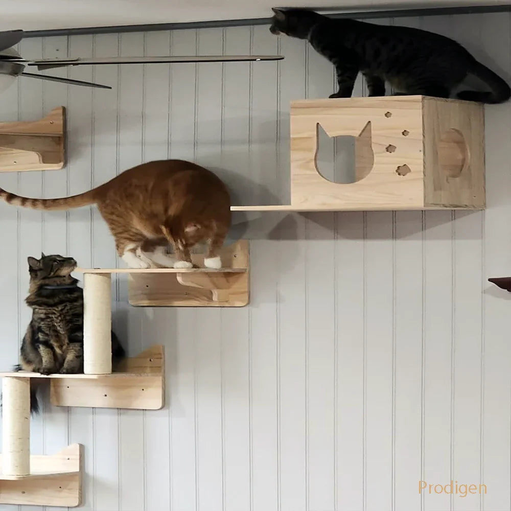 Arbre a chat Mural en Bois - PerchoirFélin Premium