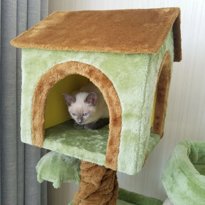 Arbre à chat multi-niveaux TreeTopDream - maison de luxe