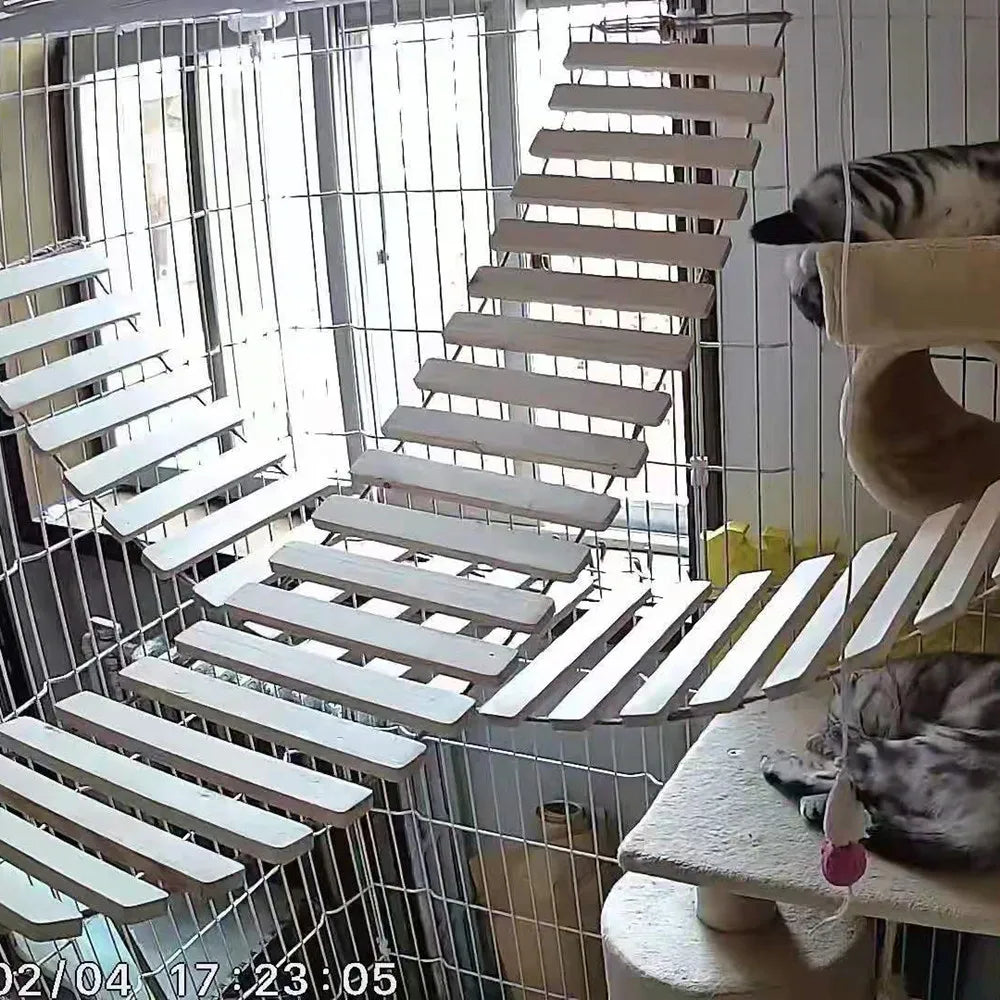 Échelle ou pont suspendu pour chat - PawLux