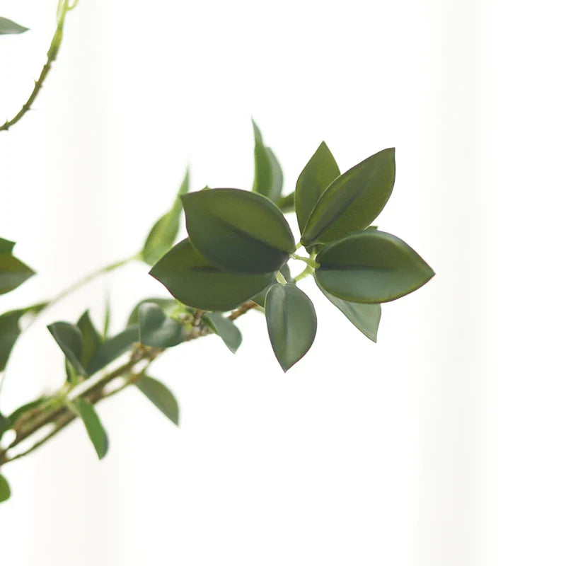 Fausse Branche de Ficus 67cm pour Arbre à Chat - FicusPaws