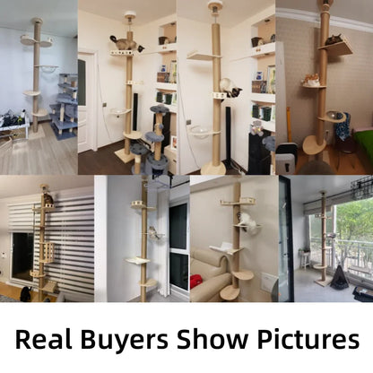 SkyClimb Arbre à chat Maine Coon du sol au plafond - hamac