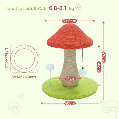 Arbre à chat pas cher - Champignon Pro