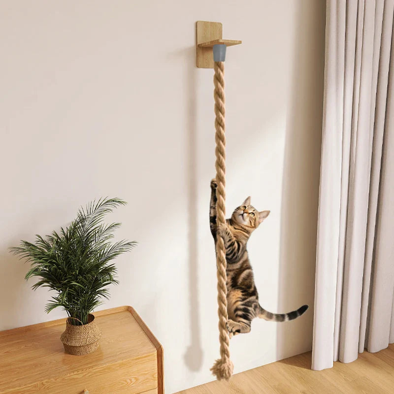Zenicat Arbre à chat mural - Module corde d’escalade