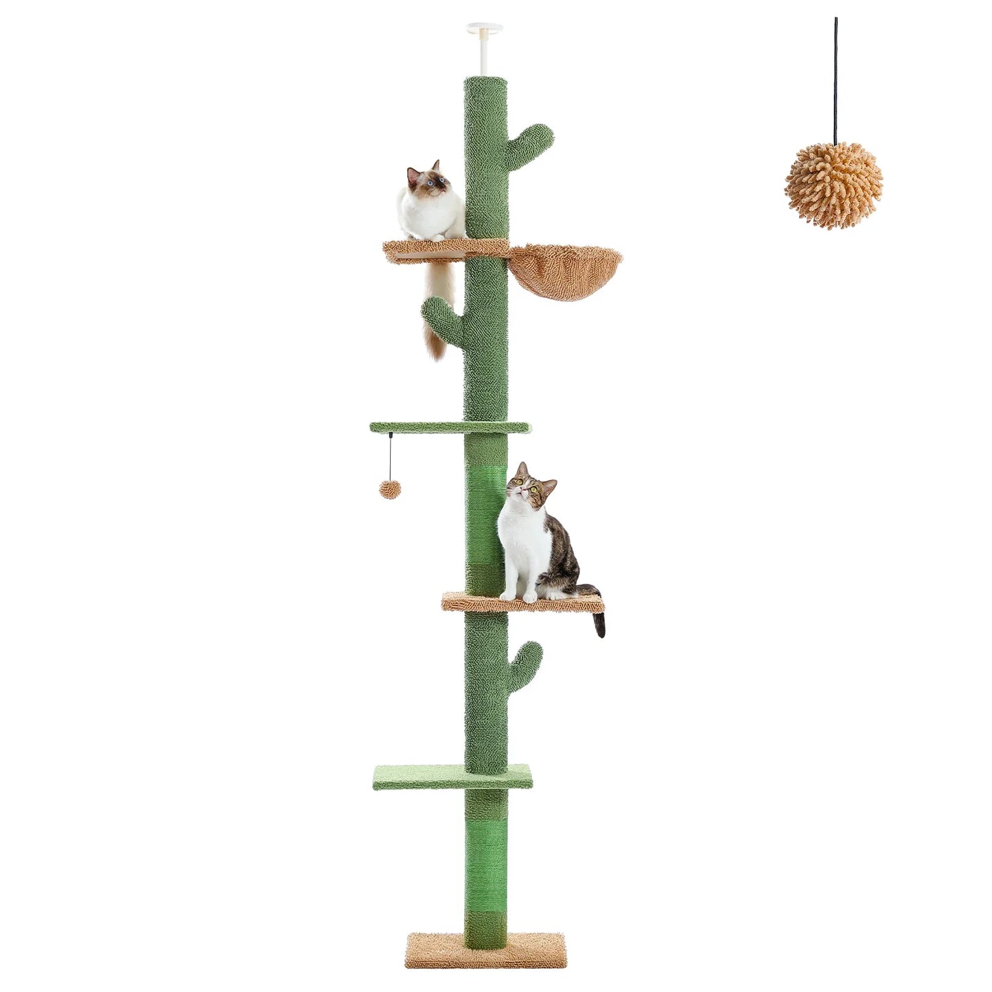 Arbre à chat ajustable du sol au plafond - CactusEscapade